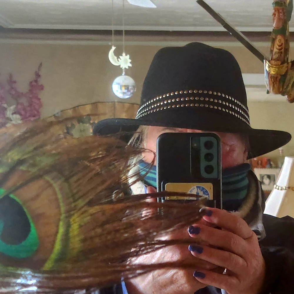 Black and Silver Fedora Cowboy Hat with Studded Band